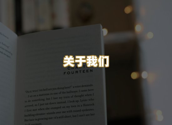 关于我们